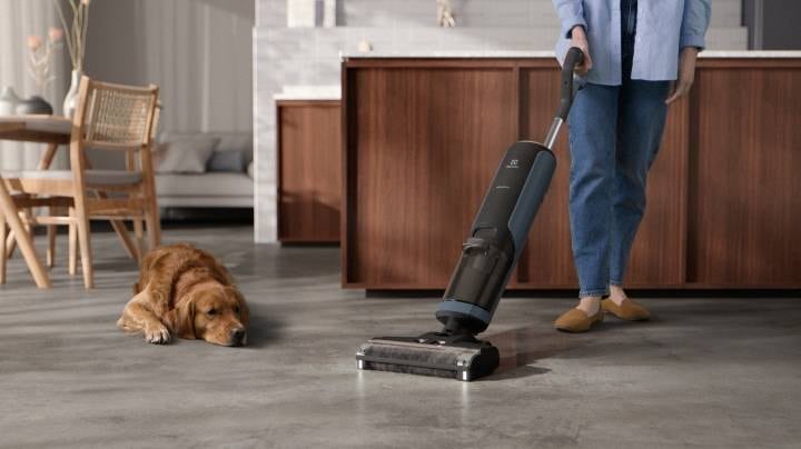 Eine Person, die das Haus mit einem Staubsauger reinigt, und ein Hund, der neben ihr liegt