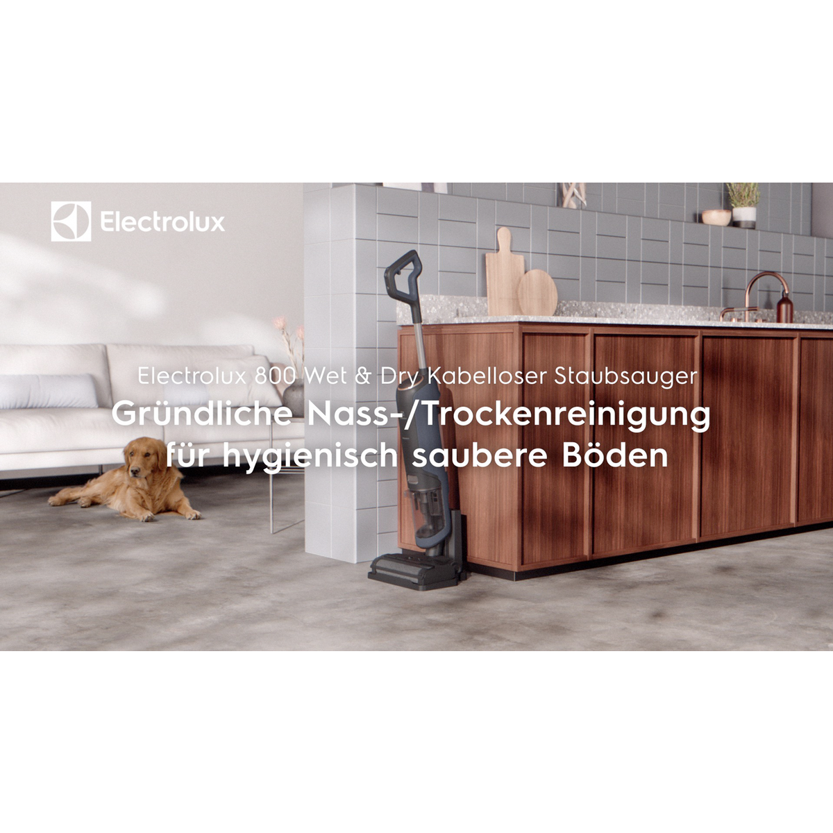 Electrolux - Wet&Dry Kabellose Staubsauger - EW81U3DB