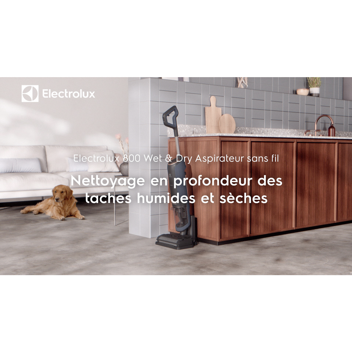 Electrolux - Wet&Dry Aspirateurs sans fil - EW81U3DB