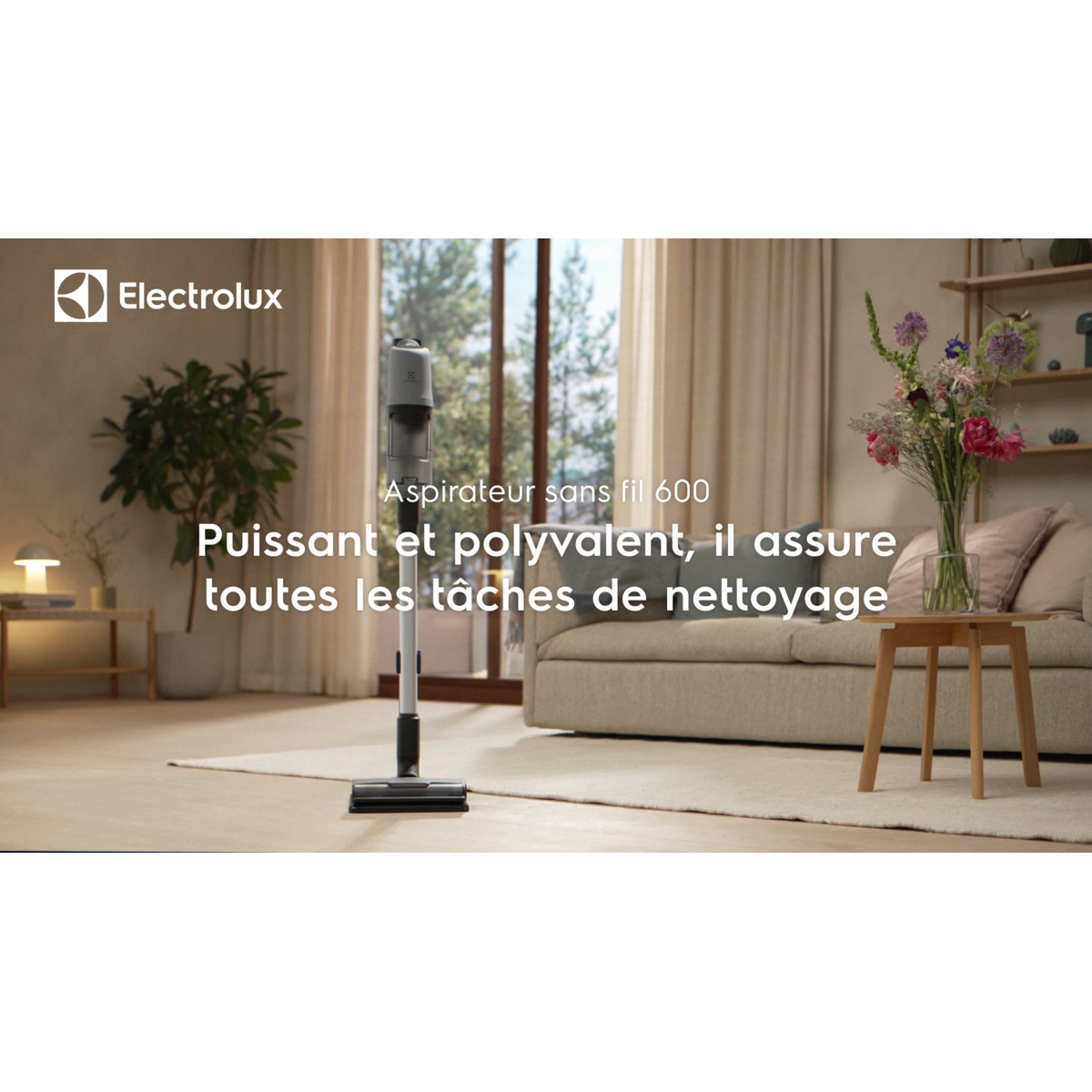 Electrolux - Aspirateurs sans fil - EP61AB21UG