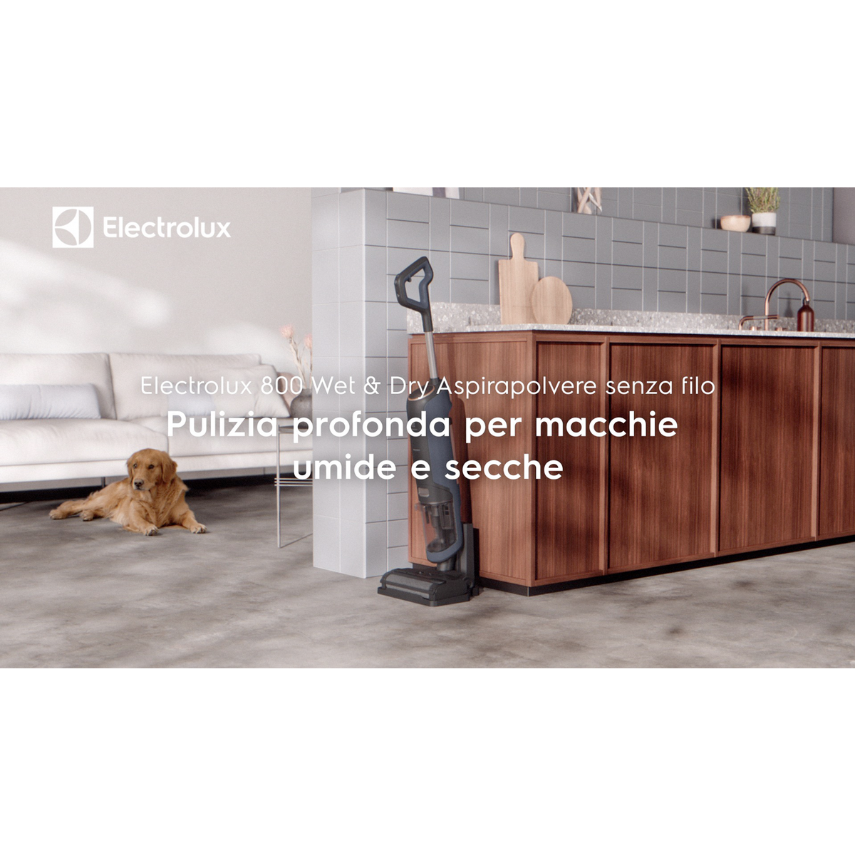 Electrolux - Wet&Dry Aspirapolvere a batteria - EW81U3DB