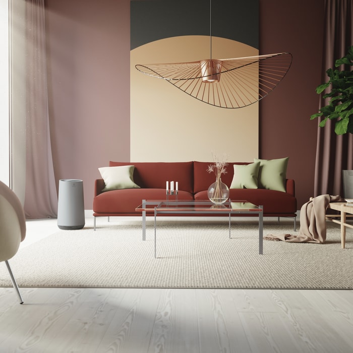 Electrolux - Accessori - EFFBRZ2