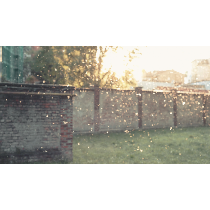 Electrolux - Accessori - EFDCLN6E