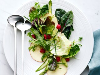 Une salade fraîche dressée sur une assiette sortant du réfrigérateur-congélateur TwinTech