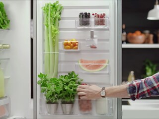 Kühlschrank Elektrolux : Kühl gefrierkombinationen electrolux Kühlschrank Elektrolux : Kühl gefrierkombinationen electrolux
