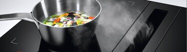 Muldenlüfter von Electrolux