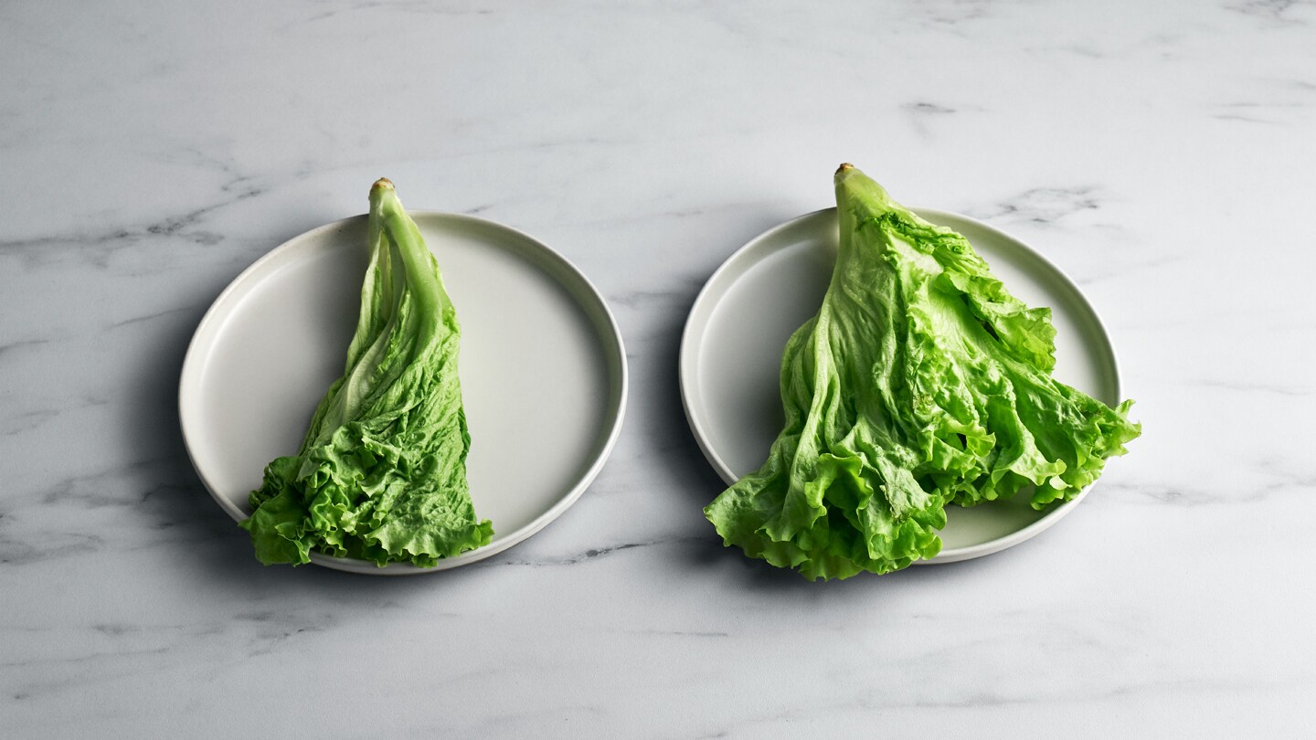 Salatvergleich zwischen mit und ohne TwinTech