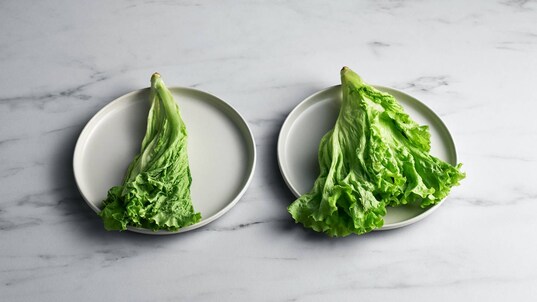 Salatvergleich zwischen mit und ohne TwinTech