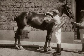 Nettoyer le cheval avec Electrolux modèle V