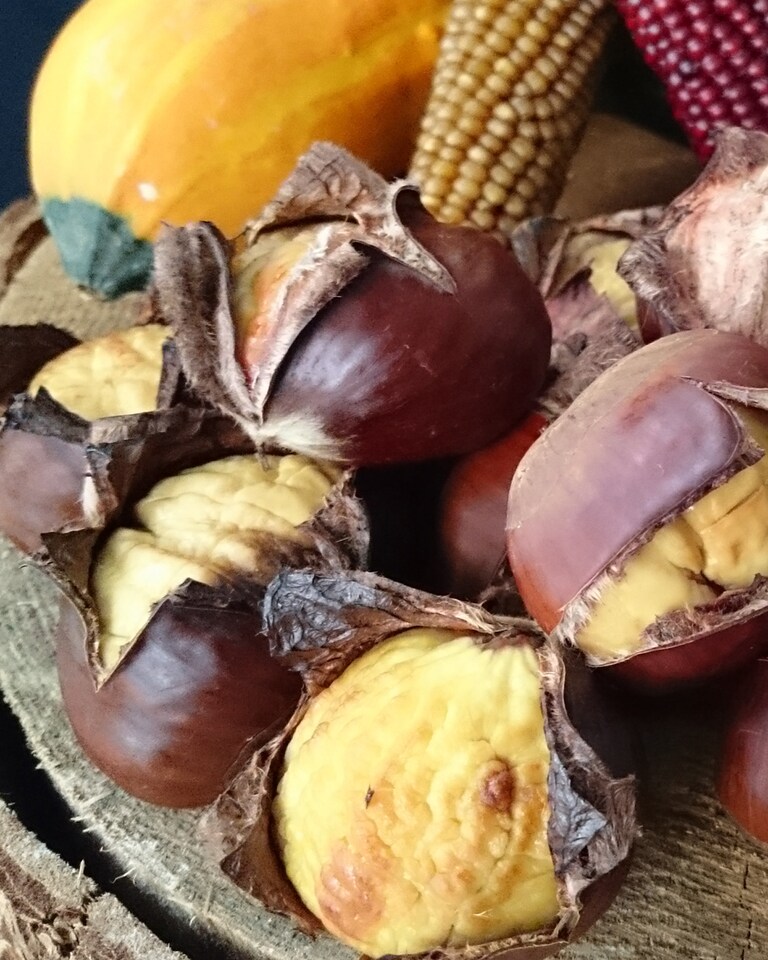 Un plaisir d'automne sain